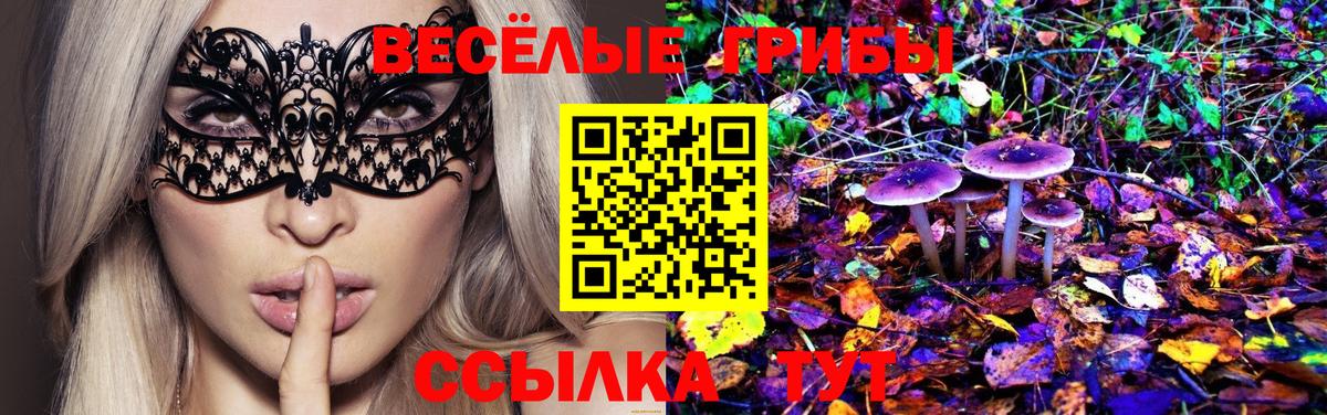 Лесосибирск  Псилоцибиновые грибы Psilocybe  Вход с VPN 